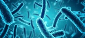 This Bacteria Exhales Electricity and Could One Day Power Your Smartphones