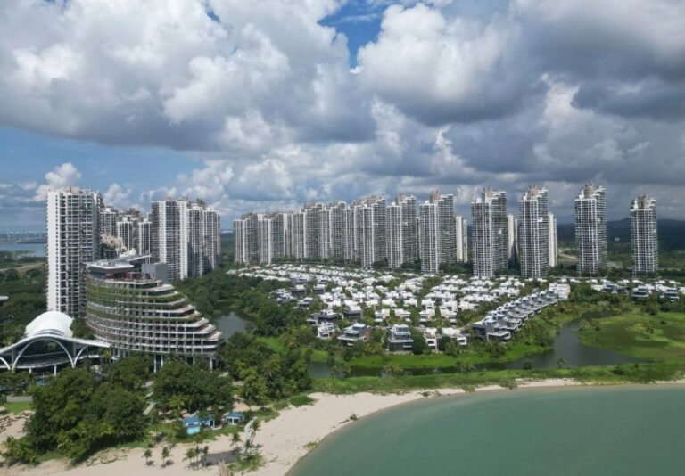 The Network State Rises in Forest City, A Chinese-Built Ghost City