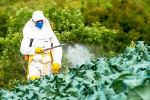 Chinese Mobs Using Pesticides to Attack America